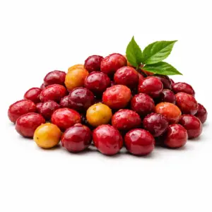 VINO DE CAFÉ