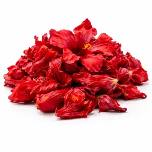 FLOR DE JAMAICA